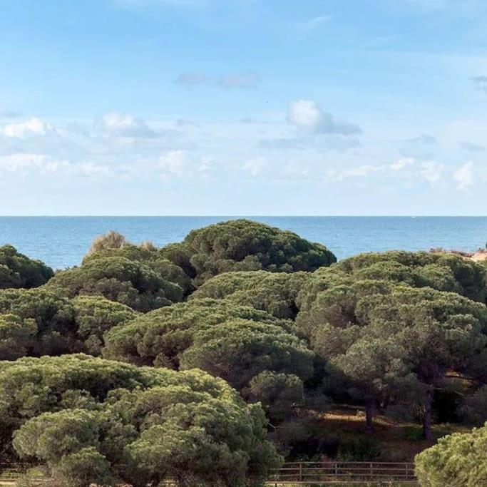 Acogedor Y Tranquilo Punta Umbria